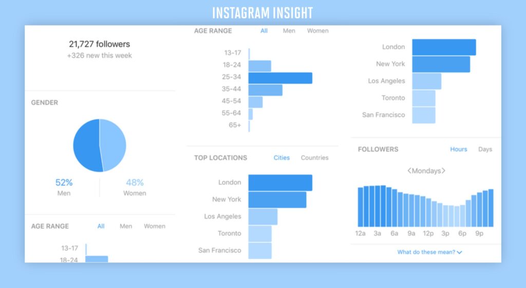 Berbagai Fitur Instagram Bisnis dan Fungsinya - instagram insight